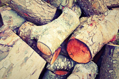 Torfrey wood burning boiler costs